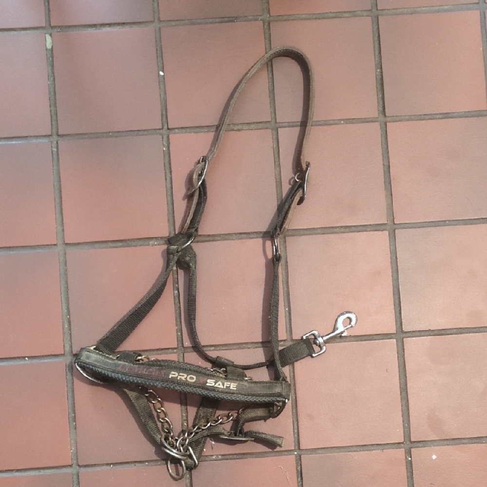 Pro Safe Horse Halter